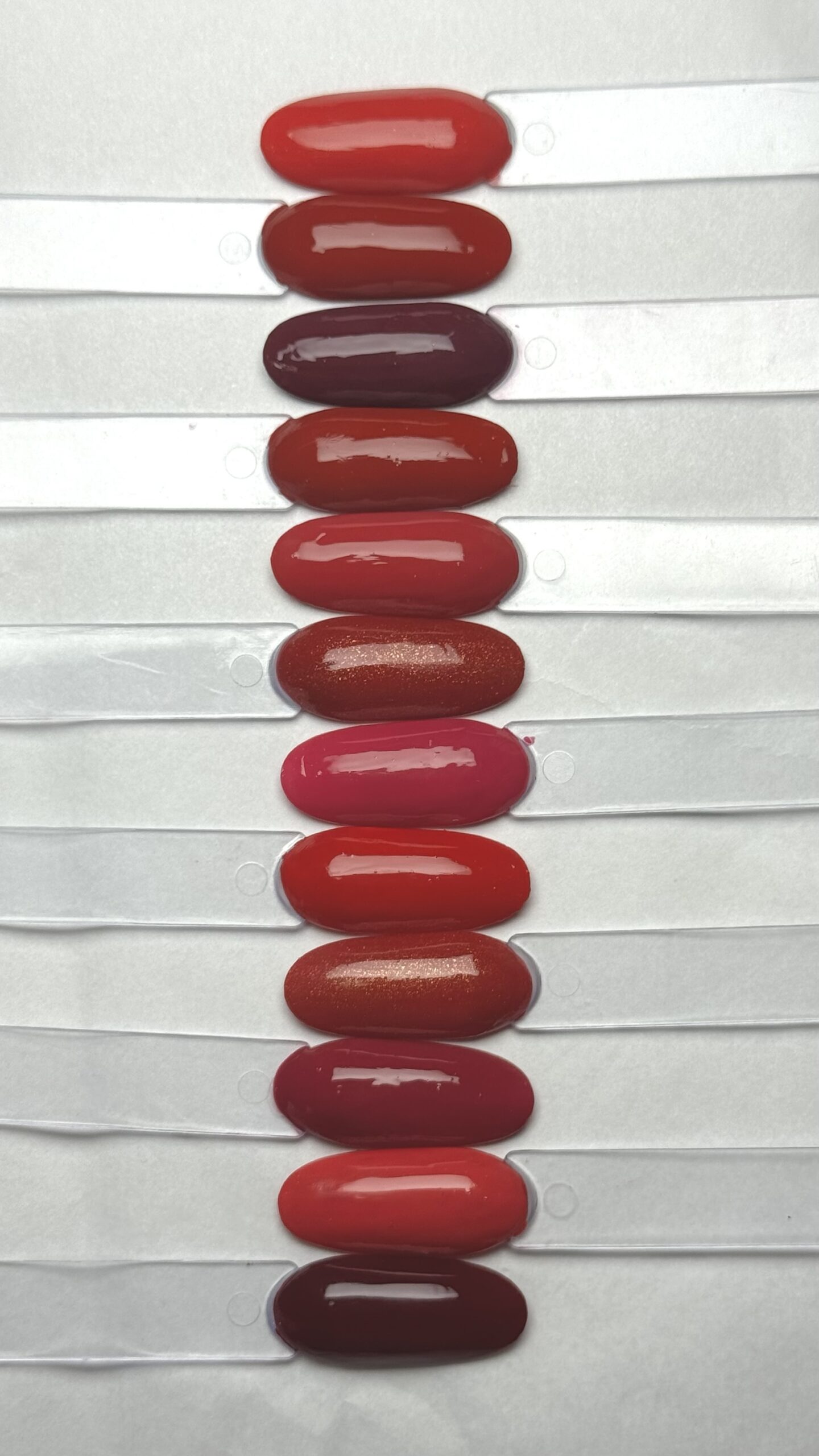 Gama A Rojos Variedad Miss Cherry - Imagen 3